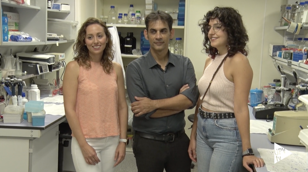 Descubren una nueva entidad biológica que habita en el cuerpo humano
